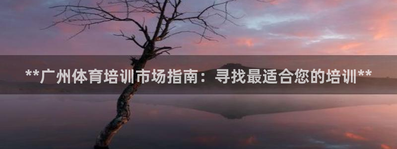 尊龙凯时app产品介绍：**广州体育培训市场指南：寻