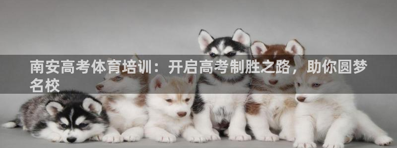 尊龙凯时百家乐手机下载：南安高考体育培训：开启高考制