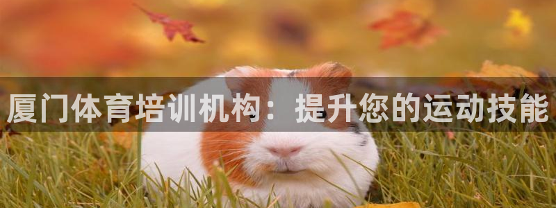 尊龙凯时泰安：厦门体育培训机构：提升您的运动技能