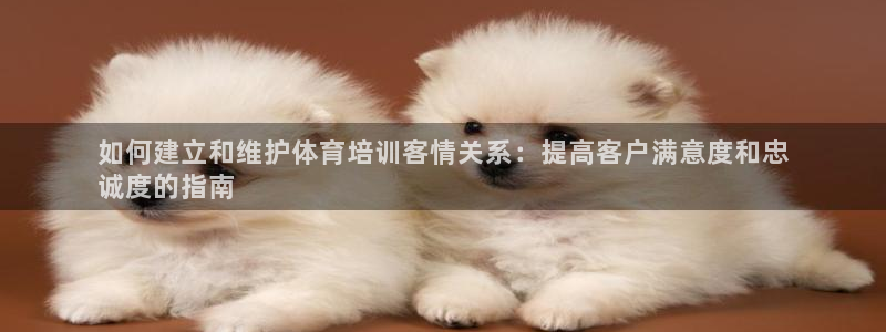 尊龙人生就是博管网：如何建立和维护体育培训客情关系：