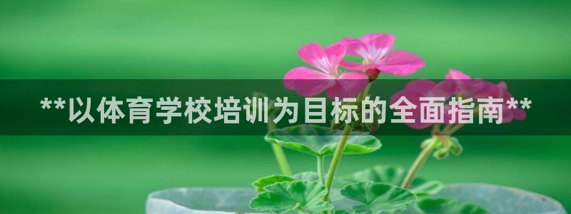 尊龙官网：**以体育学校培训为目标的全面指南**