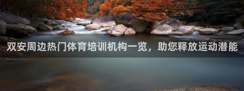 尊龙凯时是正规平台吗：双安周边热门体育培训机构一览，