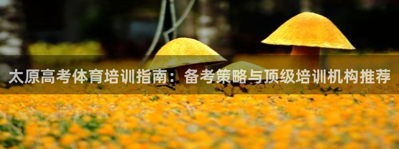尊龙人生就是博l：太原高考体育培训指南：备考策略与顶