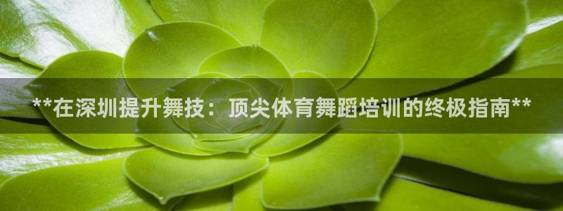 尊龙凯时麻将胡了：**在深圳提升舞技：顶尖体育舞蹈培
