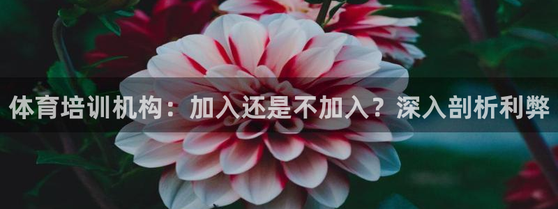尊龙z6官网：体育培训机构：加入还是不加入？深入剖析