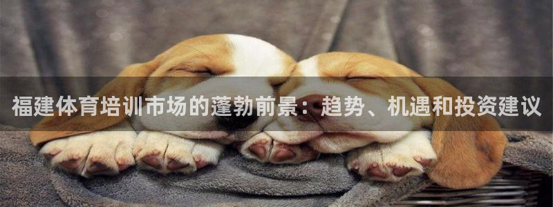 尊龙凯时登入首页：福建体育培训市场的蓬勃前景：趋势、