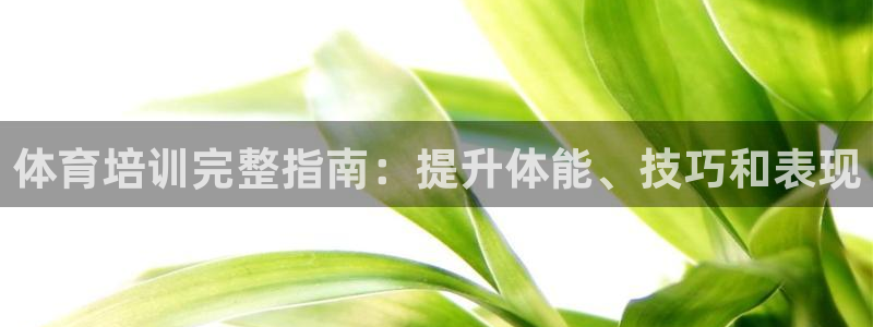 z6com尊龙凯时百家乐下载：体育培训完整指南：提升