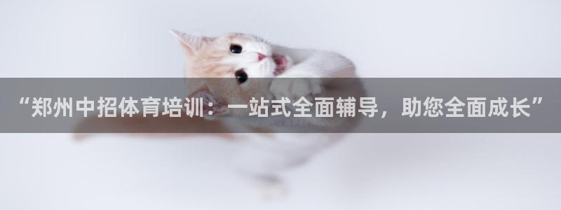 凯时平台怎么样