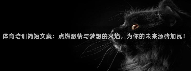尊龙物流怎么样
