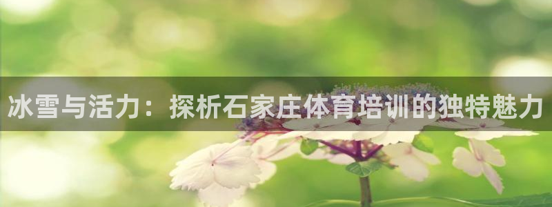 尊龙凯时取款不成功