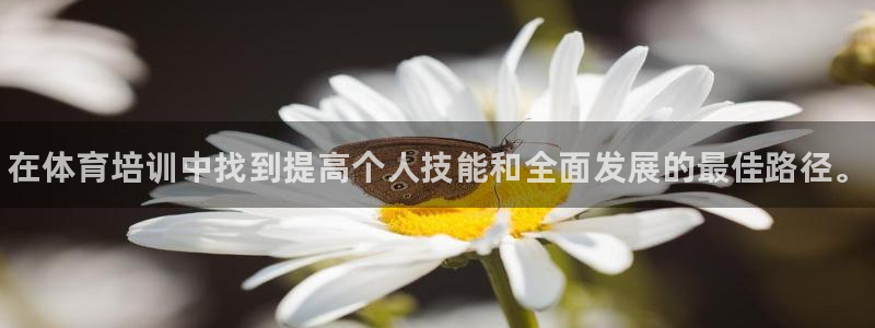 尊龙t400和尊龙t300区别