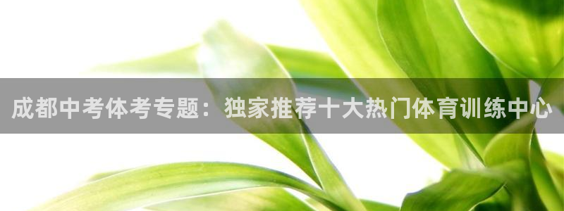 凯时旗舰厅App下载