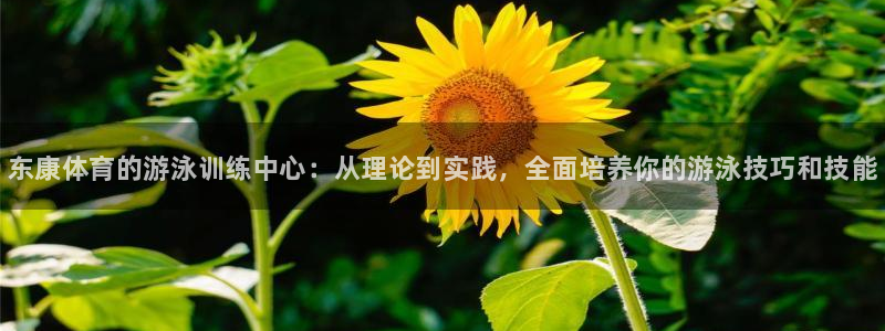 尊龙凯时的生产设备