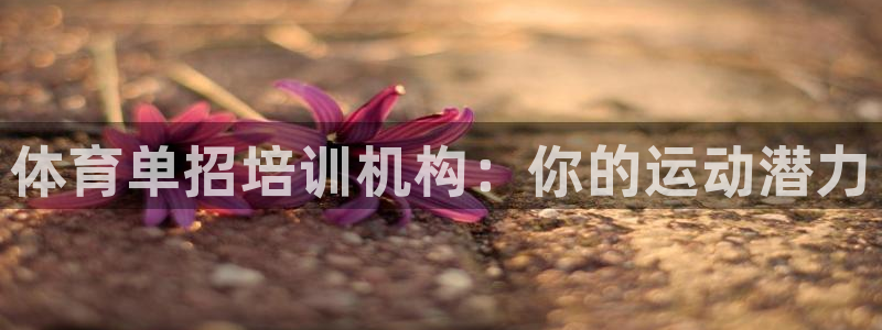 尊龙凯时提款一直审核中：体育单招培训机构：你的运动潜力