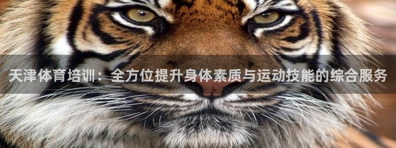 凯时国际官方版