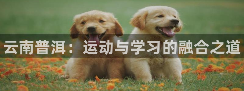 凯时kb88官网网址