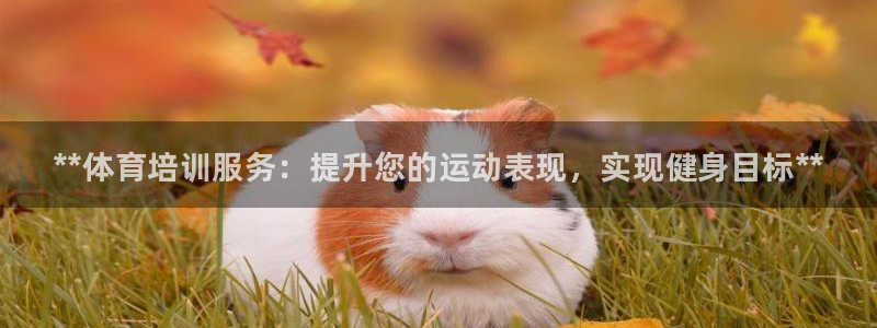 尊龙人生就是-首页：**体育培训服务：提升您的运动表现，实现