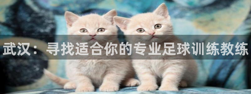 尊龙网站下分慢：武汉：寻找适合你的专业足球训练教练