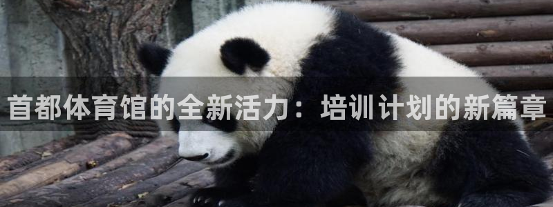 d88尊龙可靠送38元：首都体育馆的全新活力：培训计