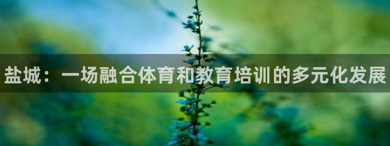 尊龙凯时人生就是搏官方网站：盐城：一场融合体育和教育