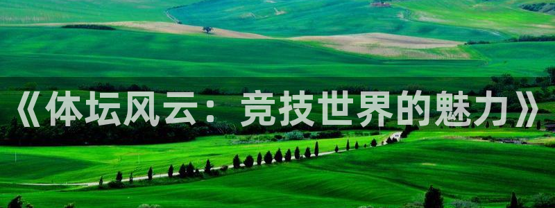 尊龙凯时干什么的：《体坛风云：竞技世界的魅力》