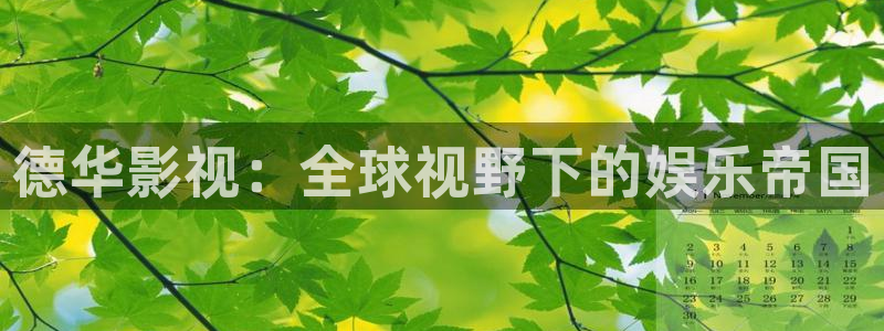 发现好看的电影电视剧即看影视：德华影视：全球视野下的娱乐帝国