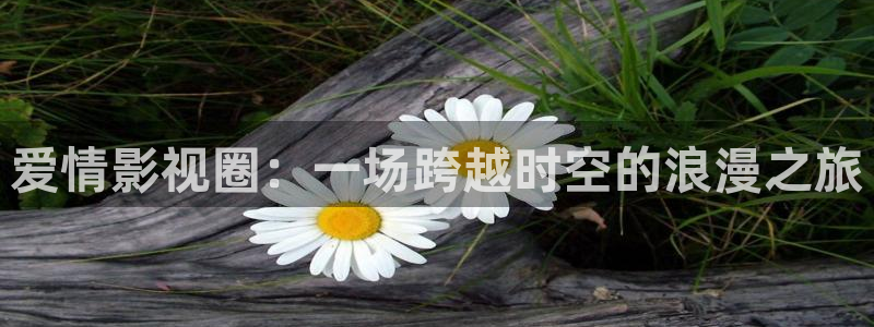 即看影院：爱情影视圈：一场跨越时空的浪漫之旅