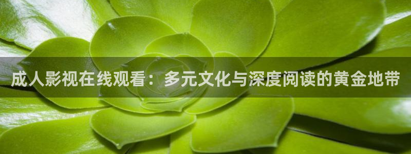 即看影视网站：成人影视在线观看：多元文化与深度阅读的黄金地带