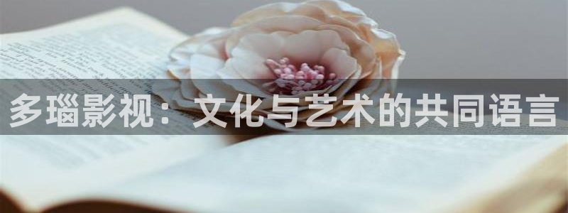 即看影视：多瑙影视：文化与艺术的共同语言
